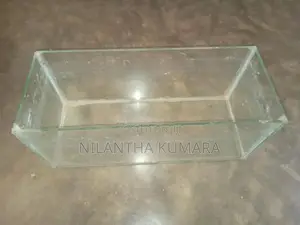 Fish Tank
