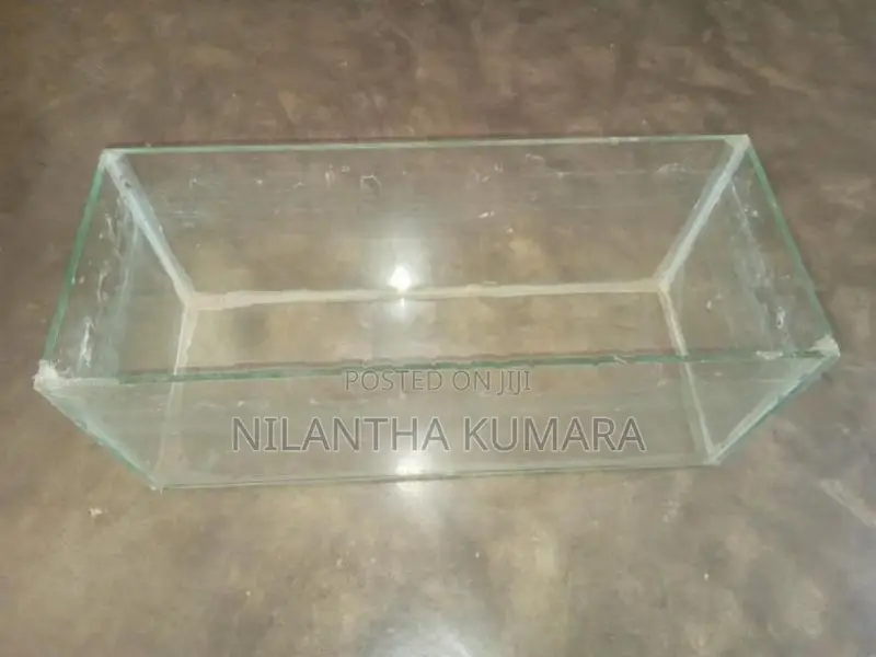 Fish Tank