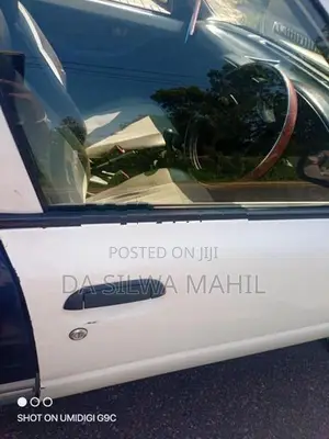 AD Wagon Door