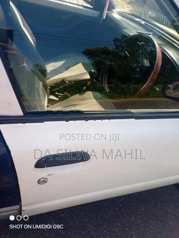 AD Wagon Door