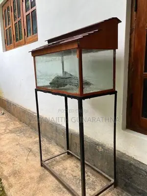 Fish Tank