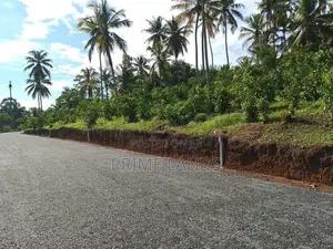 හික්කඩුව සංචාරක කලාපයෙන් බිම් කොටස් විකිණීමට