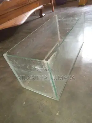 Fish Tank