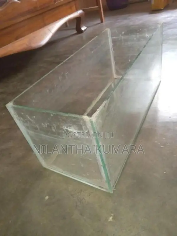 Fish Tank