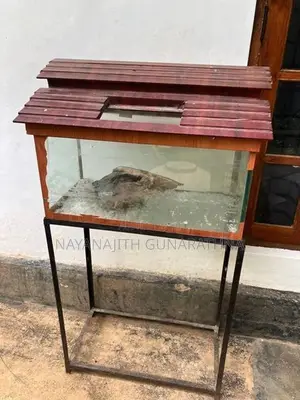 Fish Tank