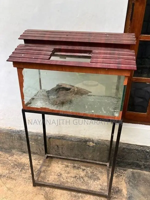 Fish Tank