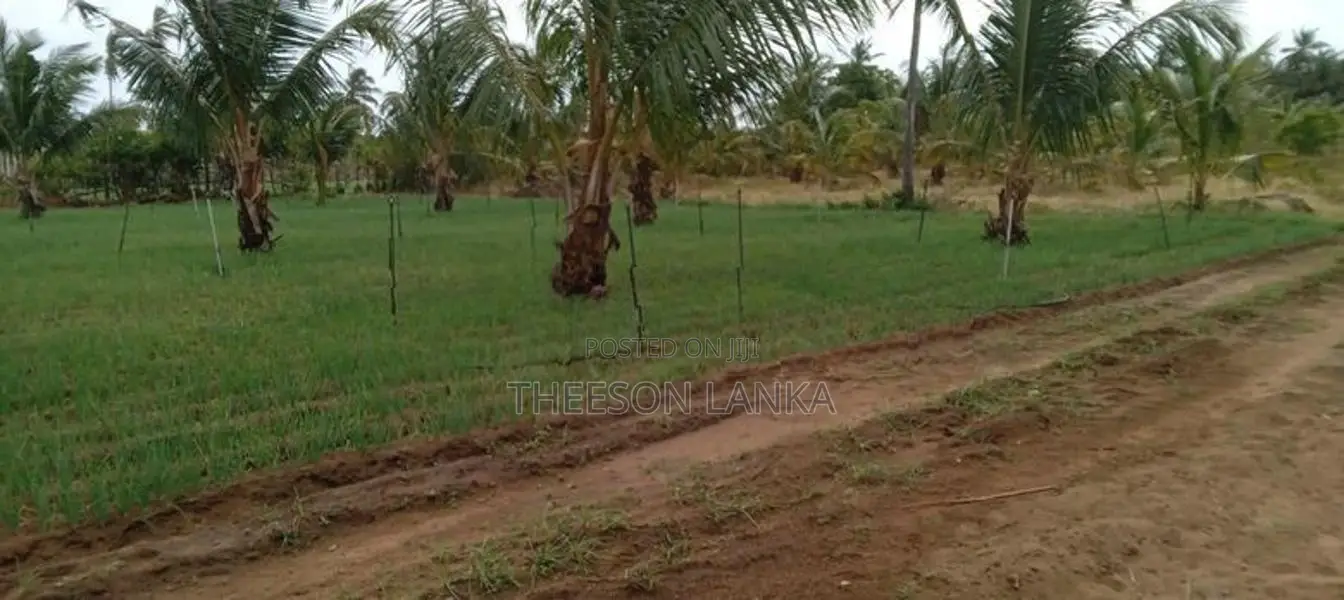 Nilaveli Land for Sale