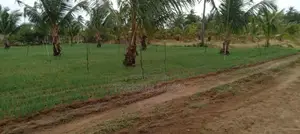 Nilaveli Land for Sale