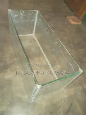 Fish Tank