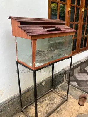 Fish Tank