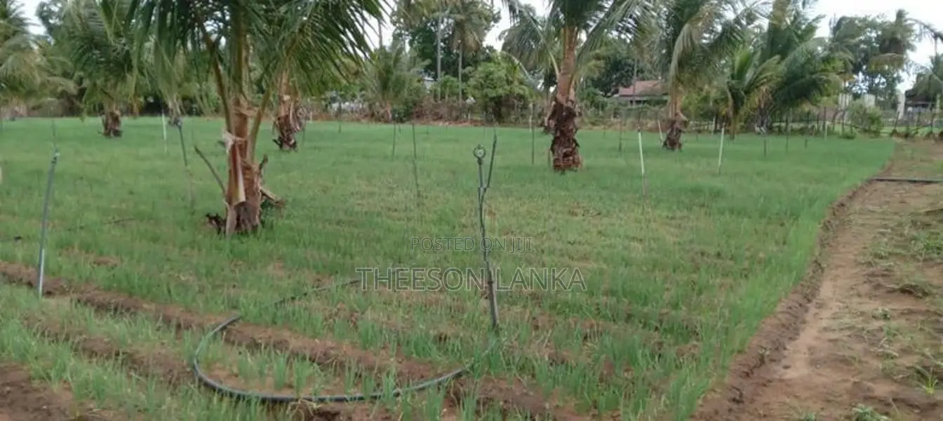 Nilaveli Land for Sale