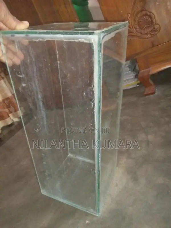 Fish Tank