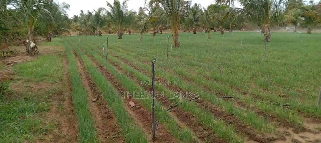 Nilaveli Land for Sale