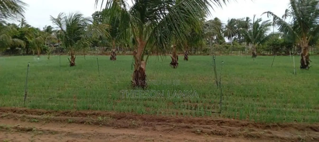 Nilaveli Land for Sale