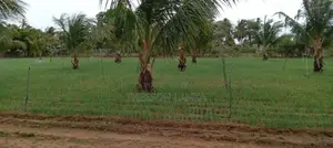 Nilaveli Land for Sale