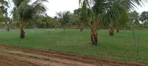 Nilaveli Land for Sale