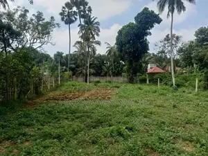 Morokoddanchenai Land for Sale