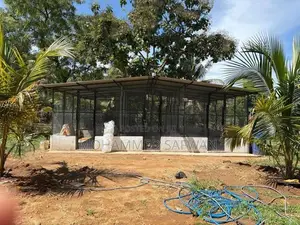 24 X 20 Feet Bird Cage