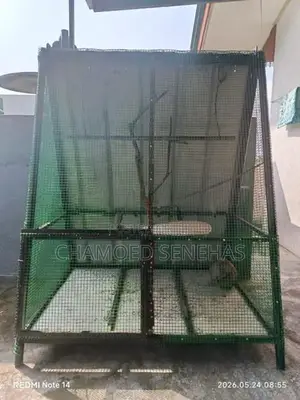 Bird Cage