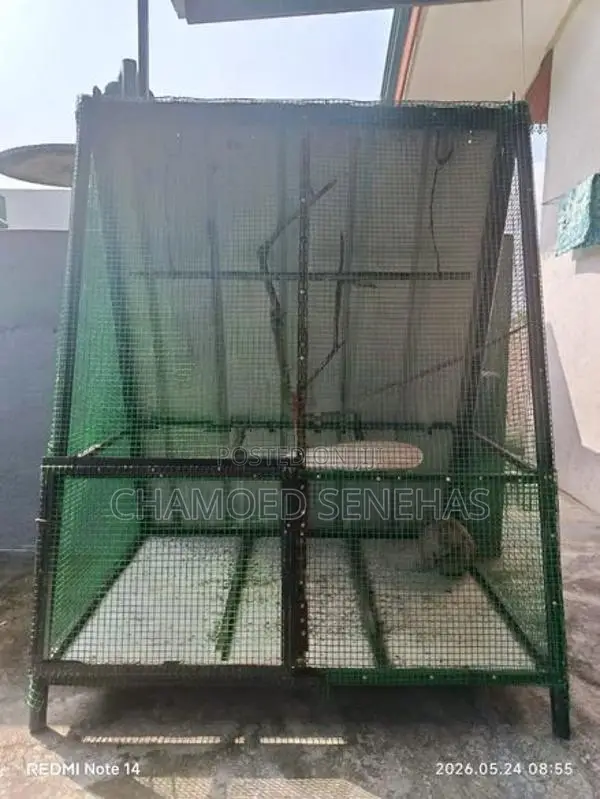 Bird Cage