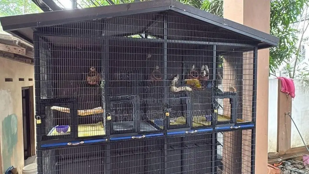 6 Feet Bird Cage