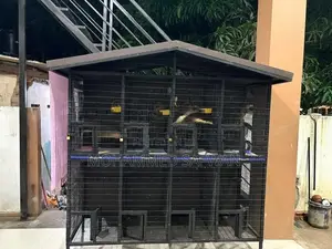 6 Feet Bird Cage