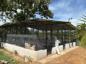 24 X 20 Feet Bird Cage