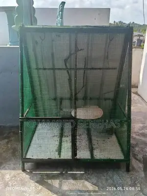 Bird Cage