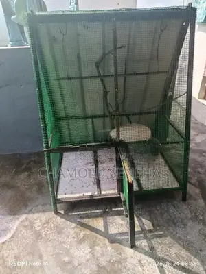 Bird Cage