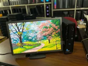 i3 4th GEN With 22' LED Wide Monitors