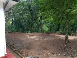 House sale Bandarawela