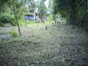 Land for Sale in Ambalantota