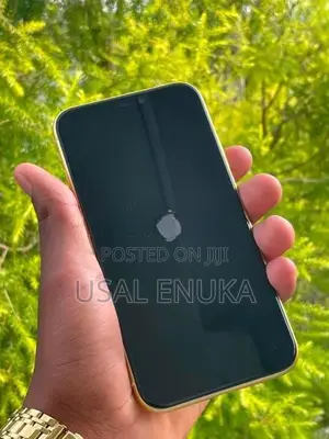 Apple iPhone X (Used)