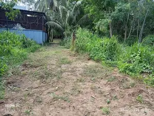 Land for Sale in Ambalantota