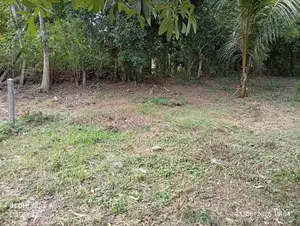 Land for Sale in Ambalantota
