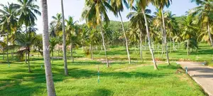 නාරම්මල නගරයෙන් අඩුවට ඉඩමක් විකිණීමට