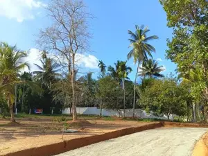 අලව්ව නගරයෙන් ඉඩමක් විකිණීමට