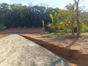 අලව්ව නගරයෙන් ඉඩමක් විකිණීමට