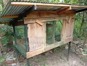 Pigeons Cage