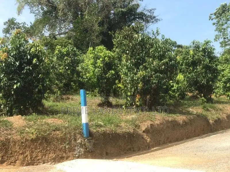කලුතර නගරයට විනාඩි 5යි බිම් කොටස්