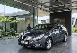 Hyundai Sonata Tang leather 2011