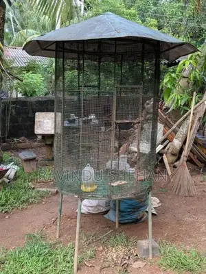 Bird cage