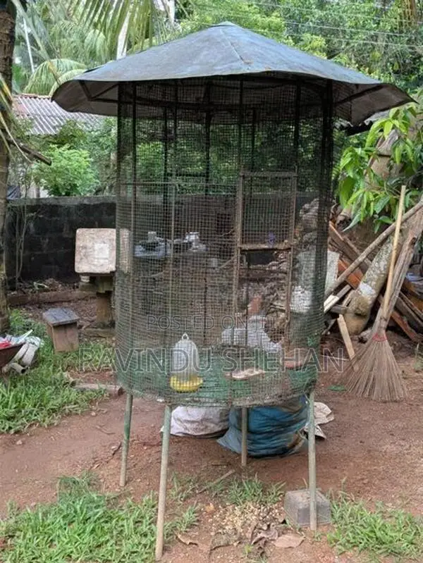 Bird cage