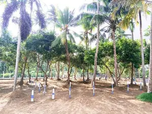 Commercial Land for Sale in Mellawagedara-Pannala Road P10