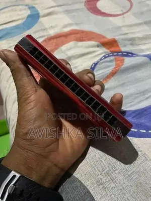 මවුත් ඕගන්