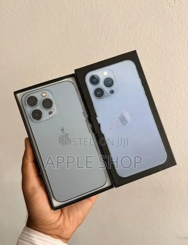 Apple iPhone 13 Pro 256GB (Used)