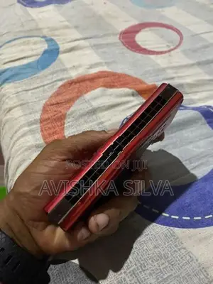 මවුත් ඕගන්