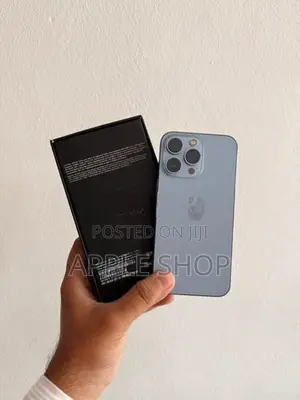 Apple iPhone 13 Pro 256GB (Used)