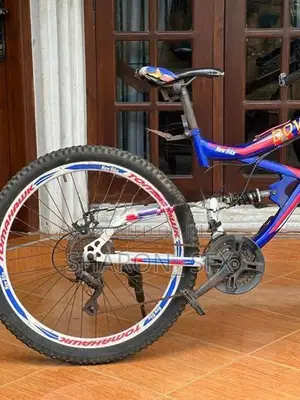 Tomahawk Downhill Bicycle