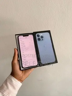 Apple iPhone 13 Pro 256GB (Used)
